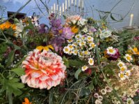 ein Bild aus dem Album